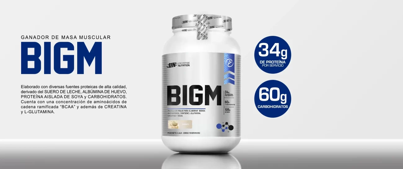 PORTADA-BIGM-B (1)