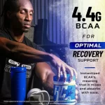 ronnie-coleman-signature-series-bcaa-xs-2-1-1-powder-aminos-30173873930353_large (1)